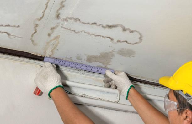 Affordable Ceiling Water Damage Repair solutions in Deersville, OH